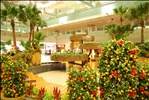 Singapore International Airport